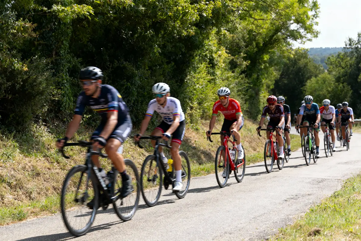 Cyclistes en peloton sur route bordée d'arbres, participant à une course par temps ensoleillé.